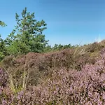 Feriehus Holiday home Rømø XLVII