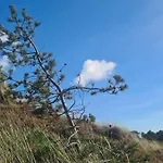 10 Person Holiday Home In Romo Holiday home