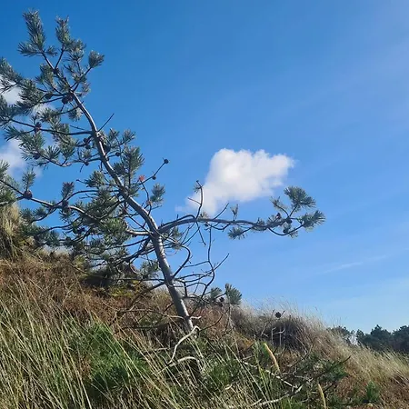 Luxury Retreat With Pool - By Traum Casa de Férias